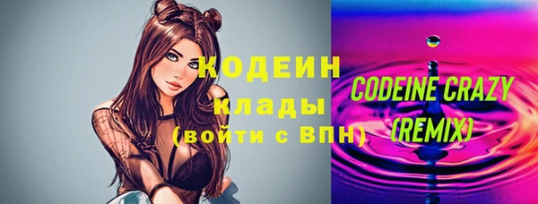 дживик Бородино
