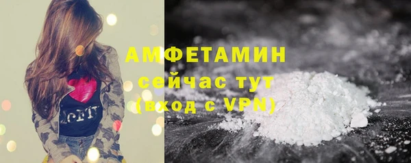 дживик Бородино
