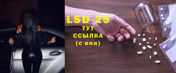 дживик Бородино