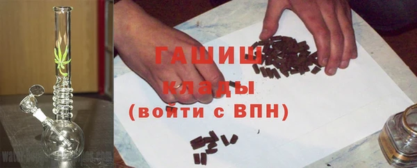 дживик Бородино