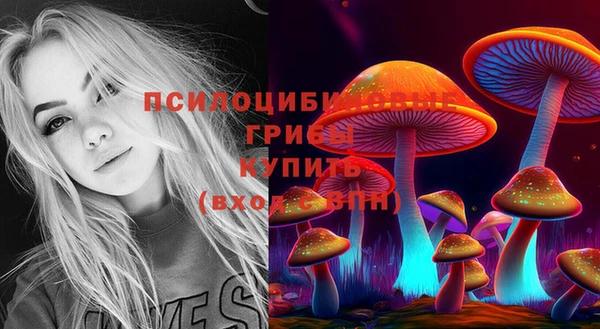 дживик Бородино