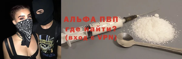 дживик Бородино