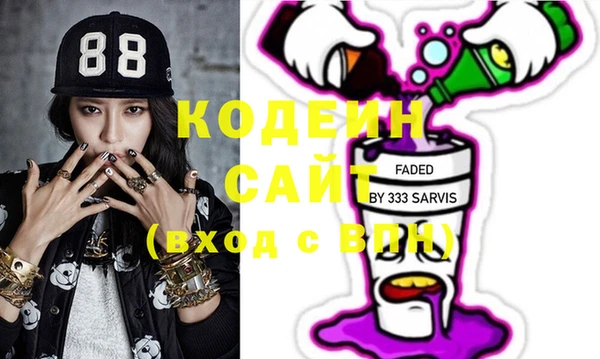 дживик Бородино