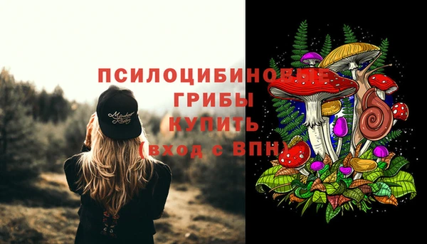 mdpv Бугульма
