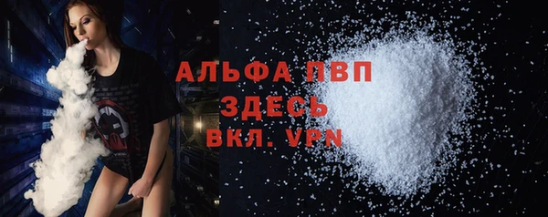 spice Богородск