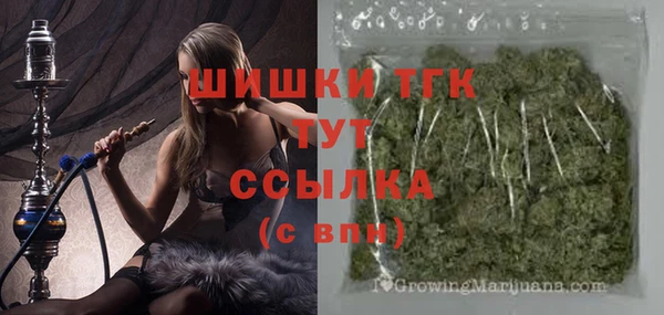дживик Бородино