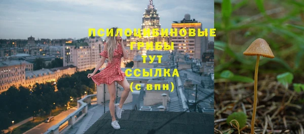 mdpv Бугульма